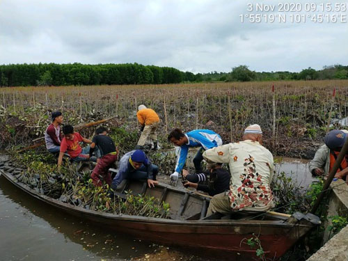 Padat Karya Mangrove KLHK di Bengkalis Libatkan Empat Kelompok Tani